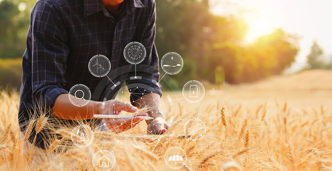 Feld der Möglichkeiten - Sparkasse